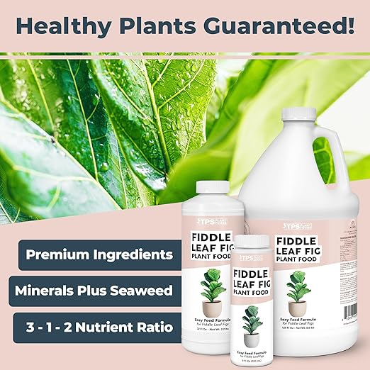 Fiddle Leaf Fig Plant Fertilizer – Liquid Plant Food for Bigger Leaves, Stronger Roots & Healthy New Growth, 1 Gallon