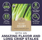 Organic Celery Seeds ‘Tall Utah’ – Two Seed Packets! – Over 1,926 Open Pollinated Heirloom Non-GMO Seeds – Sweet Yards Seed Co.