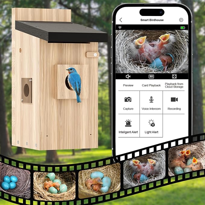 Bird Houses Camera, 5mp Solar Bird House with Camera, 2.4g WiFi Live View, Night Vision, Real-Time Bird Watching & Hatching, Outdoor Garden Bird Nest, Ideal Gift for Bird Lovers