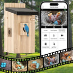 Bird Houses Camera, 5mp Solar Bird House with Camera, 2.4g WiFi Live View, Night Vision, Real-Time Bird Watching & Hatching, Outdoor Garden Bird Nest, Ideal Gift for Bird Lovers