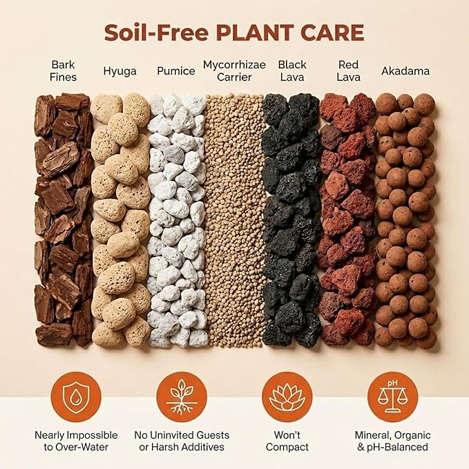 Molly's Succulent Mix - Premium Gritty Soilless Potting Mix for Succulents, Cactus and Bonsai - Contains Akadama, Hyuga, Bark Fines, Pumice, Lava Rock, Mycorrhizae 3 Dry Quarts