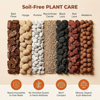 Molly's Succulent Mix - Premium Gritty Soilless Potting Mix for Succulents, Cactus and Bonsai - Contains Akadama, Hyuga, Bark Fines, Pumice, Lava Rock, Mycorrhizae 3 Dry Quarts