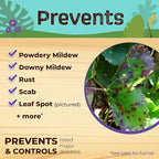 Bonide Captain Jack's Neem Oil, 128 oz Ready-to-Use, Multi-Purpose Fungicide, Insecticide and Miticide for Organic Gardening
