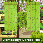 Qualirey Giant Sticky Fly Traps, Fly Strips for Indoor Outdoor Hanging Flying Tapes Non Toxic Ribbon Fruit Gnat Killer for Mosquito Plants House Horse Stable(147.65ft,Fluorescent Green,5 Pcs)