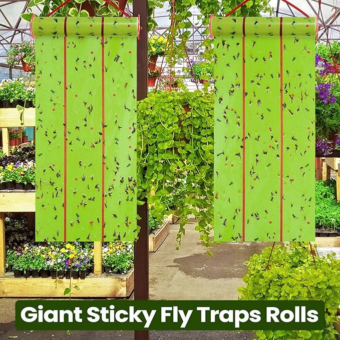 Qualirey Giant Sticky Fly Traps, Fly Strips for Indoor Outdoor Hanging Flying Tapes Non Toxic Ribbon Fruit Gnat Killer for Mosquito Plants House Horse Stable(29.53ft,Fluorescent Green,1 Pcs)