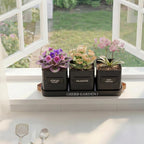 PERFNIQUE Indoor Herb Garden, Herb Planter Set with Tray, Farmhouse Indoor Plant Pots, Windowsill Herb Garden with Drainage(Planter only) for Indoor/Outdoor, Window Pots(Matte Black)