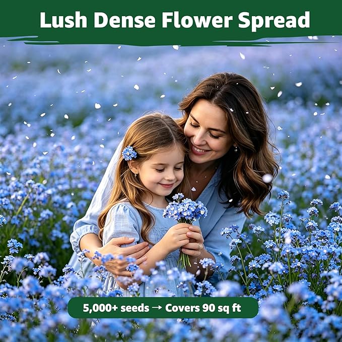 5600+ Forget Me Not Seeds for Planting, Easy to Grow Blue Forget-Me-Not Flowers, Perennial Wildflower Seeds for Ground Cover, Borders & Pollinator Gardens