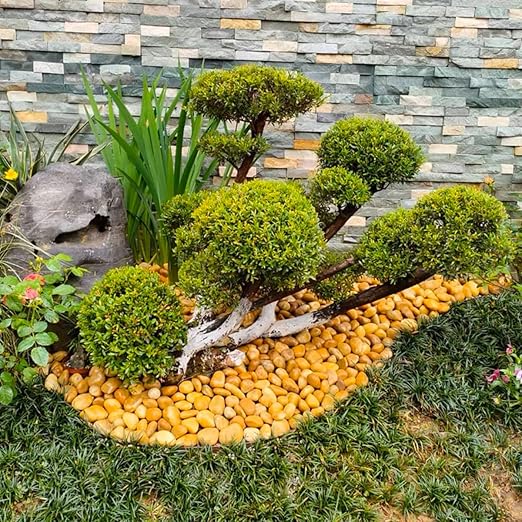 YISZM Rocks for Plant 5lbs, Yellow River Rocks 2-3 Inch Natural Pebbles for Indoor Plants, High Polished Decorative Stones Vase Filler Fish Tank Aquariums Landscaping Garden