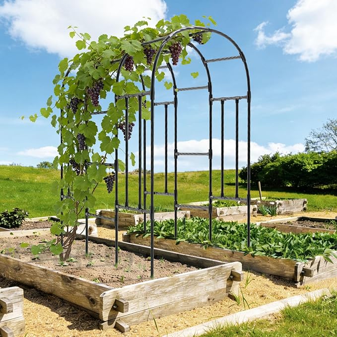 Garden Arch Trellis - 47"L*71"W*87"H, Rust-Proof Grape Trellis with Thickened Steel Pipe, Garden Arch Trellis for Climbing Plants Outdoor, Tunnel Trellis for Cucumber, pumpkin,Squash, Melon