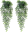 Artificial Hanging Plants,2 Pack Fake Wall Plants,Faux Mandala Vines Potted Plant,Plastic Greenery with Wall Planter for Indoor Outdoor Garden Patio Office Décor