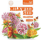 Groundio Milkweed Seeds for Planting, Attract Monarch Butterflies & Pollinators, 5 Individual Packs Flower Seeds -Tropical, Butterfly, Common, Showy, Pink Swamp, Non-GMO Perennial Wildflower Seeds