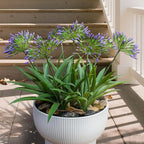Artificial Flowers Plants for Outdoor Planters 8 Bundles Purple Flower Large Spring Summer 18.9 in Look Real Plasic Plant for Front Porch