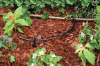 Rain Bird LNDDRIPKIT Drip Irrigation Landscape/Garden Watering Kit with Drippers, Micro-Bubblers, Micro-Sprays