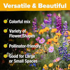 HOME GROWN Texas Wildflower Seeds 87,500+ Non-GMO Perennial Wildflower Seeds Mix for Attracting Bees, Birds & Butterflies - 22 Varieties Bulk Wild Flower Seed Mix for Full Sun & Shade Gardens (2 oz)