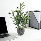 Olive Branches Artificial Plants Décor Indoor 17.72'' Tall Fake Olive Branch with Rustic Black Cement Planter for Vintage Room Bathroom Bedroom Kitchen Office Dese Coffee Table Décor