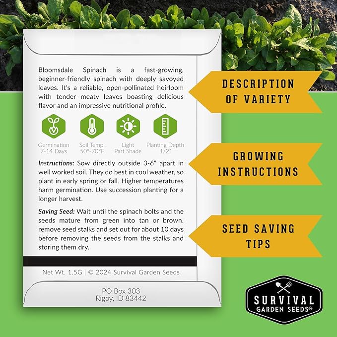 Bloomsdale Spinach Seeds for Planting | Heirloom Non-GMO Variety for Home Vegetable Gardens – Cold Hardy, Fast Growing Greens for Fall, Winter, Spring – Survival Garden Seeds (5 Packs)