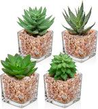 Briful Mini Fake Plants 4 Packs Succuletns Artificial Potted Plants in Cube Glass Vase Faux Succulents for Bathroom Living Room Kitchen Shelf Table Decor