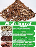TOYPOPOR Orchid Potting Mix for Repotting with Moss Pine Bark Mulch Perlite Stone and Coco Peat Natural Ingredients, Orchid Bark Potting Mix Orchid Repotting Kit Drainage Indoor Potting Medium 1qt