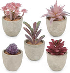 Coitak Artificial Succulent Plants Potted, Assorted Decorative Faux Succulent Potted Fake Cactus Cacti Plants with Pots, Set of 5 (Purple)