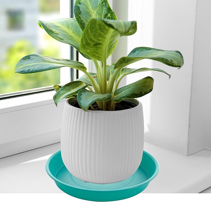 2 Pack of 8 inch Plant Saucer Clear, Heavy Duty Plastic Plant Water Tray 8 inch Round, Flower Plant Saucers for Indoors No Holes, Plant Dishes Saucer for Planter 7"/8" (8", Teal)