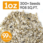Groundio Mammoth Sunflower Seeds to Plant, 1 Ounce Packet 300+ Seeds, 6-12 FT Giant Sunflower, Non-GMO, Heirloom, High Germination, Grown in the USA