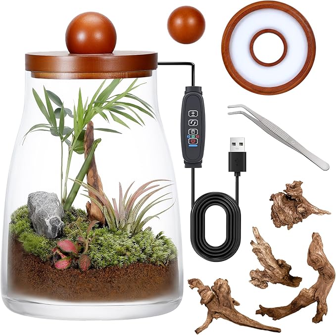 Desktop Glass Plant Terrarium with Grow Light, for Moss, Succulent, Miniature Gardening Landscape, Betta Fish Tank, Desktop Decorations for Home and Office, Plant Lovers Gift (2.7L, H:8.3" D:6.1")