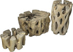 3 Natural Cholla Wood Air Plant Display Holders Tiered 1, 2 & 3 inch Individually Unique Round Decorative Stands
