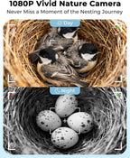 Bird House with Camera Solar Powered, Wi-Fi,Motion Detection & Night Vision,Pine Wood Birdhouse with Camera Inside,Ideal for Backyard & Nature Lovers(Light Blue)