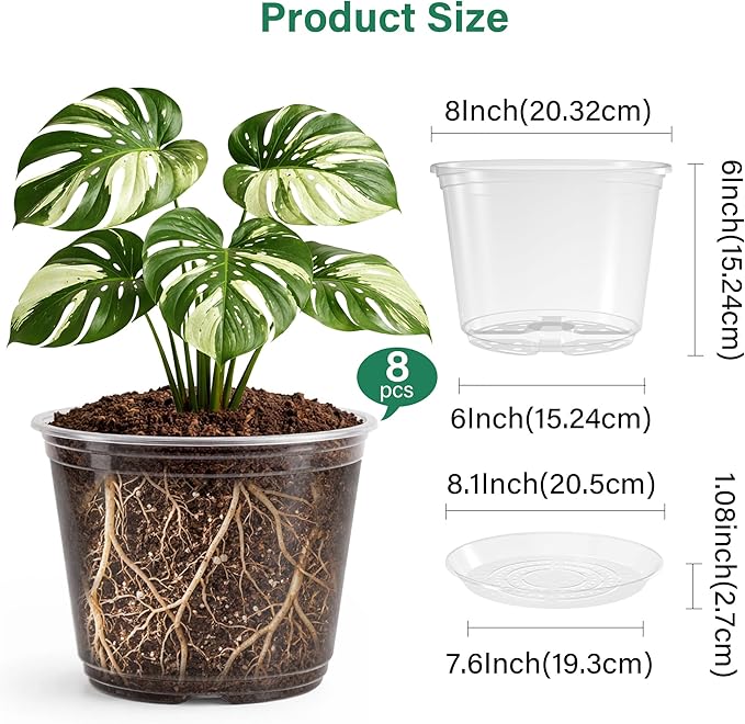 Bluepro 8 Packs 8 Inch Reinforced Large Clear Nursery Pots with Saucers, Transparent Plastic Plant Pot Seedling Planter with Drainage Holes for Vegetable Propagation, Root Cutting, Seed Starting
