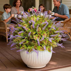 12 Bundles Artificial Coleus Flowers | UV Resistant No Fade Silk Faux Plants | Spring Summer Outdoor Fake Greenery for Garden Patio Planters Front Porch Pathway Decor (Green)
