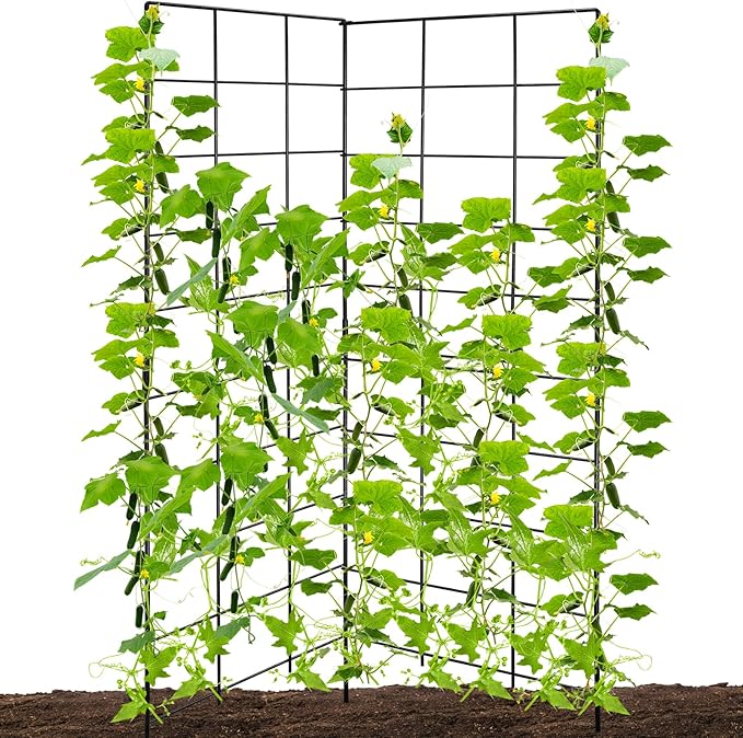 59" H x 31" L Foldable Cucumber Trellis for Climbing Plants,Two Panel Frame Garden Trellis,Raised Bed Vegetables Trellis for Bean,Peas,Grape,Cucumber,Fruit,Flower