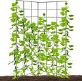 59" H x 31" L Foldable Cucumber Trellis for Climbing Plants,Two Panel Frame Garden Trellis,Raised Bed Vegetables Trellis for Bean,Peas,Grape,Cucumber,Fruit,Flower