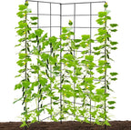 59" H x 31" L Foldable Cucumber Trellis for Climbing Plants,Two Panel Frame Garden Trellis,Raised Bed Vegetables Trellis for Bean,Peas,Grape,Cucumber,Fruit,Flower