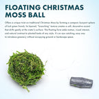 SubstrateSource Live Planted Decor - Christmas Moss Ball - Deep Green Freshwater Aquatic Plant, Low Light Aquarium Hardscape Accent for Aquascaping, Moderate Growth Rate - 1 Pack