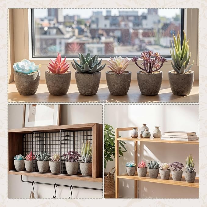 Set of 6 Artificial Succulents Potted - Realistic Mini Fake Cactus Plants in Paper Pulp Pots, 2-4'' Mixed Sizes for Farmhouse Shelf, Bathroom, Coatrack Shelf, Bedroom Indoor(Vivid Style)
