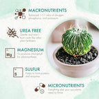 The Grow Co Succulents & Cactus Plant Food - Gentle Long Lasting Formula, Slow Release Fertilizer (Liquid Alternative) for All Potted Succulent, Cacti & Aloe Vera Plants (5 oz)