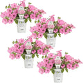 Proven Winners® Petunia Plant - Supertunia Vista Bubblegum - 4 Pack - Annual Flower for Spring & Summer Blooms - 6" Tall x 6" Wide, 1.56 Pt Pot