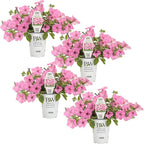 Proven Winners® Petunia Plant - Supertunia Vista Bubblegum - 4 Pack - Annual Flower for Spring & Summer Blooms - 6" Tall x 6" Wide, 1.56 Pt Pot