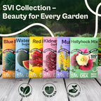 SVI 50 Teddy Bear Sunflower Seeds (Helianthus annuus) – Dwarf Teddy Bear Sunflower Seed Packets – Annual Cut Flower Seeds for Outdoor Garden & Indoor Garden, Containers, Patios, Flower Beds