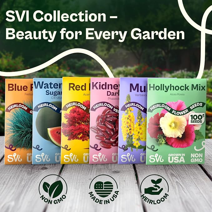 1500 SVI Painted Daisy Seeds (Chrysanthemum Carinatum) – Daisy Seed Packets Bulk, Chrysanthemum Flowers Seed Mix Wildflowers – Annual Cut Flower Seeds for Outdoor Garden, Flower Garden, Containers