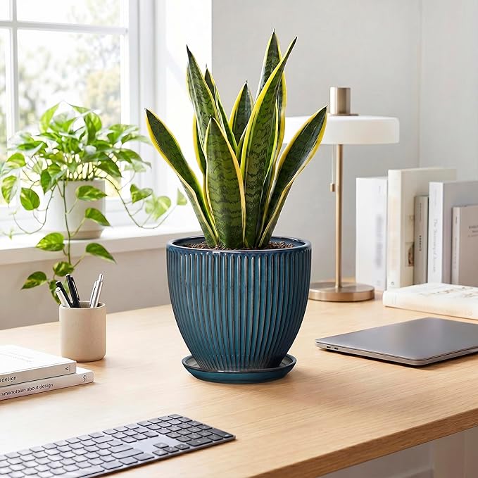 Ceramic Plant Pots, 8 Inch Planters for Indoor Plants, Decorative Flower Pots with Drainage Hole and Saucer, Round Planter, Indoor Flower Pot, Modern Home Decor, Plant Lover Gifts, Retro Blue