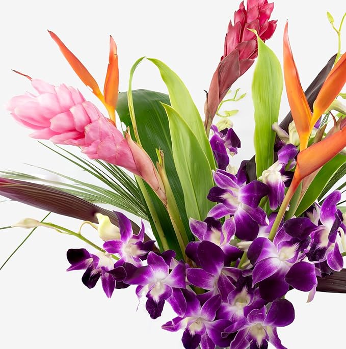 Fresh Orchids and Tropical Flower Bouquet, Purple Orchids, Red Ginger, Heliconia, Mixed Foliage, Hawaiian - PRIME QUALITY - Perfect for Birthdays, Valentine's Day, Mother's Day, Anniversaries, etc.