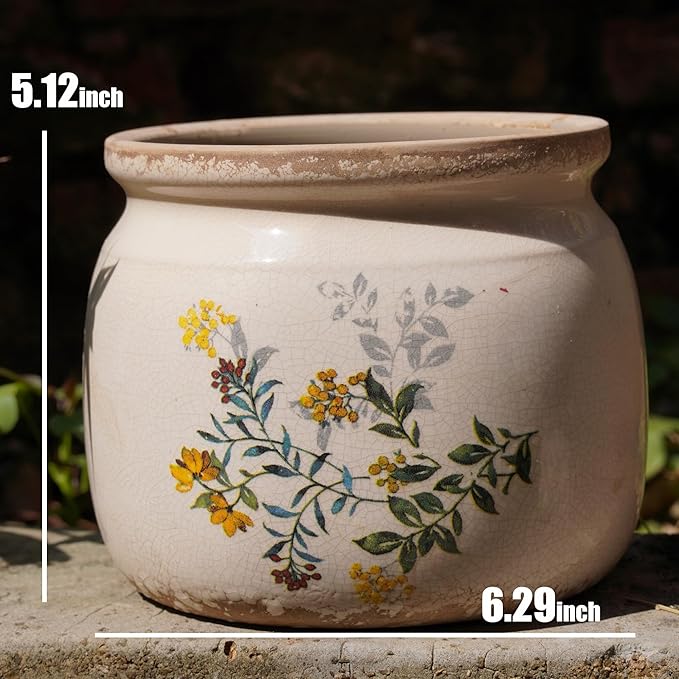 Dosayes Vintage Ceramic Ice Crack Flower Pot with Drainage Holes, Country Rustic Planters for Indoor and Outdoor,Tuscan Decor,Home,Living Room, Garden Decor, Gardening Gift (English)