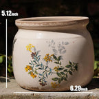 Dosayes Vintage Ceramic Ice Crack Flower Pot with Drainage Holes, Country Rustic Planters for Indoor and Outdoor,Tuscan Decor,Home,Living Room, Garden Decor, Gardening Gift (English)