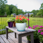Ceramic Plant Pots - 8 Inch Indoor Plant Pots with Drainage Hole and Tray, Decorative Round Planters for Outdoor Plants, Indoor Plant Pot, Home Decor, Gifts for Men Women, Crackle Blue