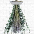 70 PCS Dried Eucalyptus Stems with Lavender Flowers Bundle for Shower, 17'' Natural Real Live Eucalyptus Leaves Branches Hanging Shower Plant for SPA Home Fragrance Bathroom Table Vase Decor