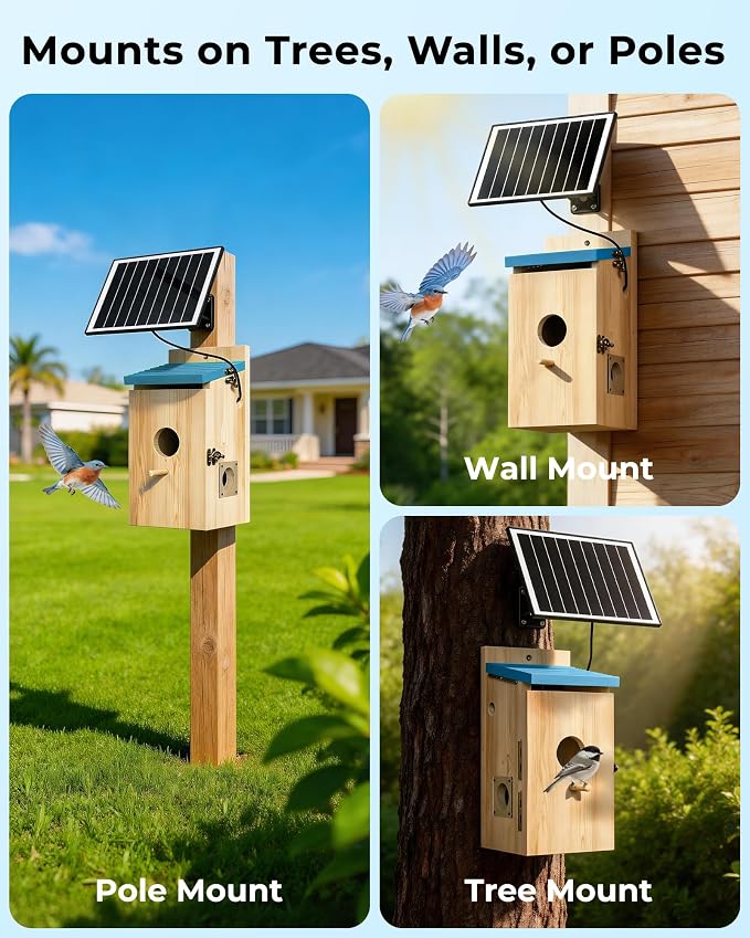 Bird House with Camera Solar Powered, Wi-Fi,Motion Detection & Night Vision,Pine Wood Birdhouse with Camera Inside,Ideal for Backyard & Nature Lovers(Light Blue)