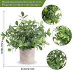 Der Rose 3 Pack Mini Potted Fake Plants Artificial Plastic Eucalyptus Plants Topiaries for Home Office Desk Farmhouse Shelf Room Bathroom Decor(Green)