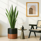 D'vine Dev 12 Inch Ceramic Planter Pot with Drainage Hole and Saucer, Indoor Cylinder Round Planter Pot, Black/Speckled Tan, 94-O-F-7