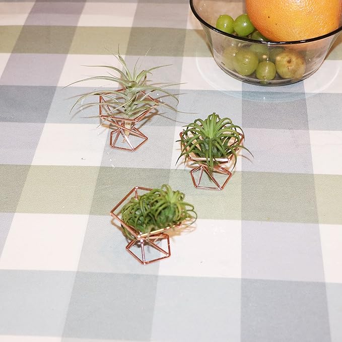 Geometric Air Plant Holder Airplants Rack Metal Plants Stand Planter Shelves Himmeli Living Decor Tillandsia Pot Containers (Rose Gold 5pcs)
